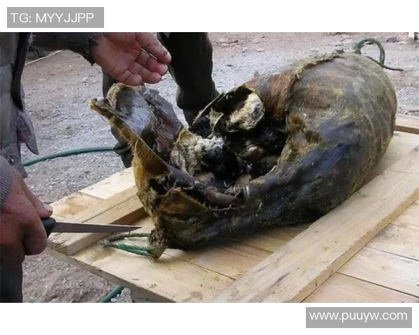 Rekkles谈转型辅助后的心路历程与职业挑战分享 Rekkles谈转型辅助后的心路历程与职业挑战分享