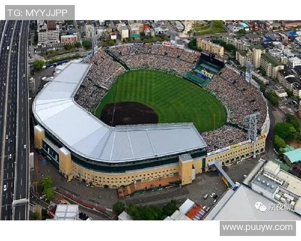 青春热血在甲子园绽放实况力量棒球决赛激战正酣