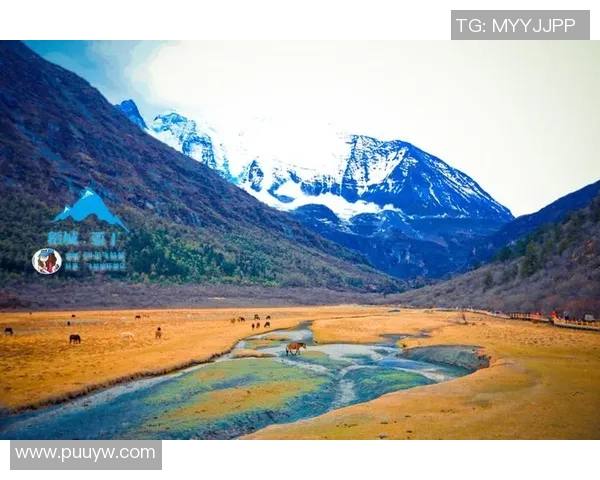 在蔚蓝的天空下勇攀塞莱斯特山的梦想与探索之旅