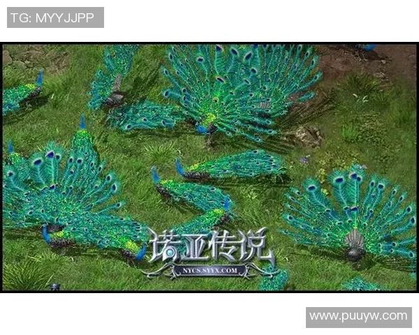 电竞夏令营火热招募中青少年畅享职业训练与游戏乐趣